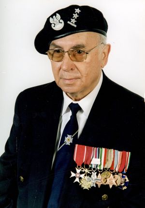 nissel bolesaw.jpg